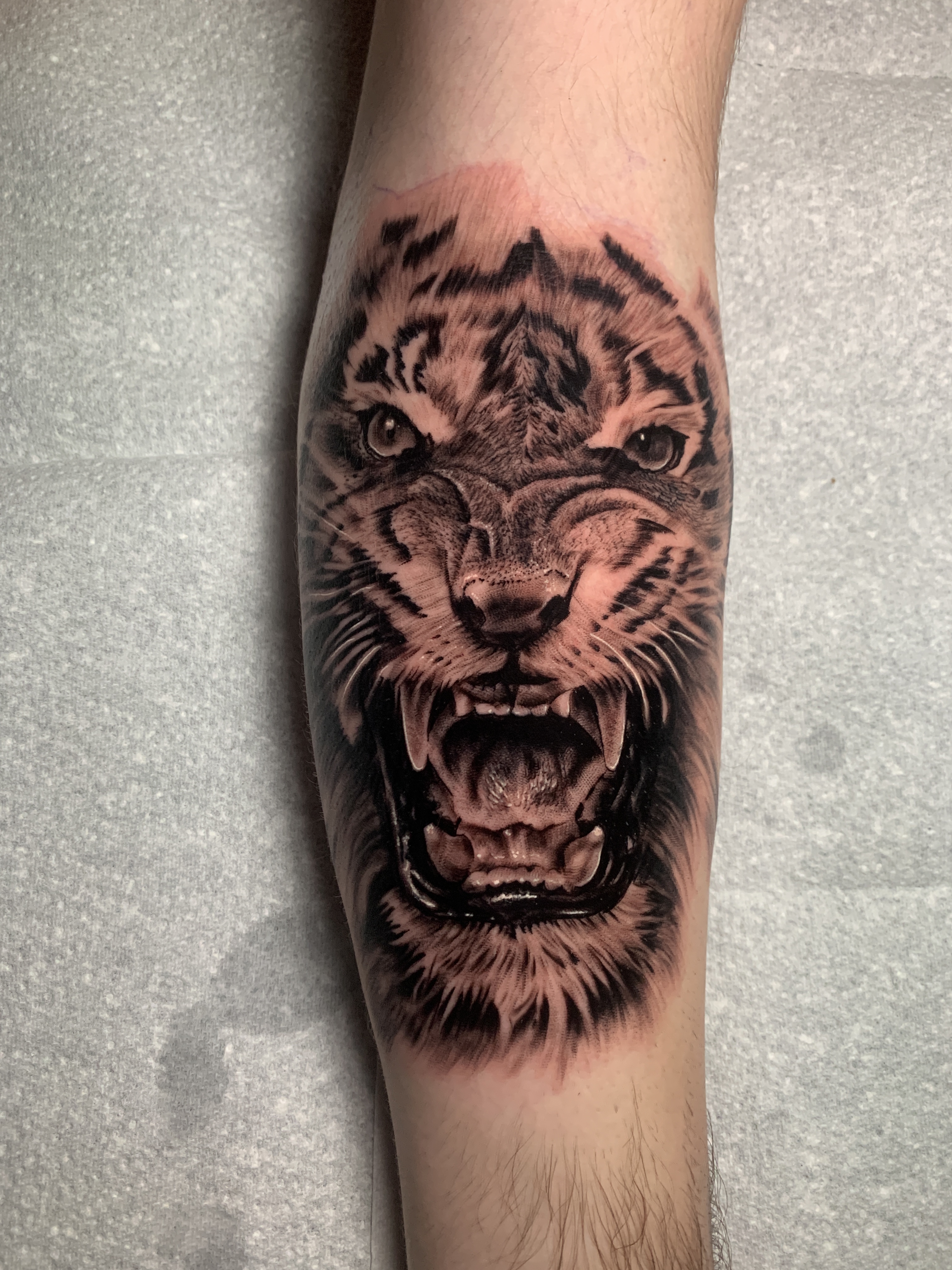 Black and grey super realistic tiger