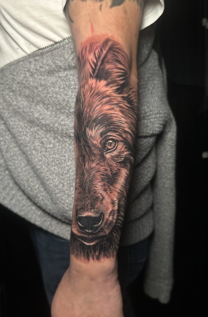 Realistic Black and grey wolf on the forearm